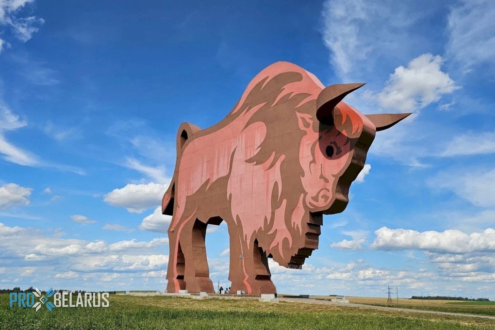 20-метровый страж трассы М1: Как зубр стал главной достопримечательностью белорусской трассы